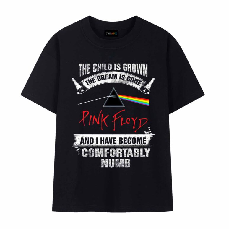 The Child Is Grown The Dream Is Gone I Have Become Comfortably Numb Pink Floyd Shirt