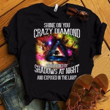 There’s someone in my head and it’s not me Pink Floyd Shirt