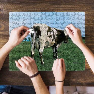 Atom Heart Mother Pink Floyd Puzzle