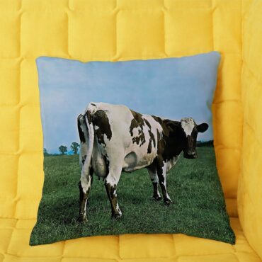 Atom Heart Mother  Pink Floyd Cushion Pillow
