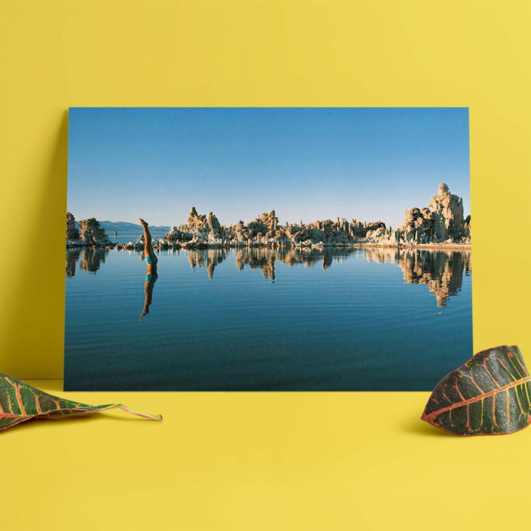 Mono Lake Wish You Were Here, Diver, Album Inner Sleeve - Pink Floyd Poster
