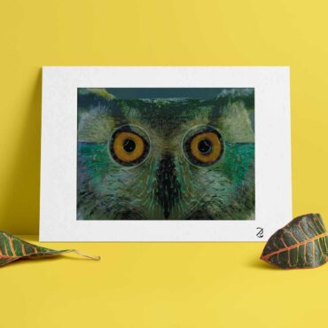 Pink Floyd Poster - Owl Eyest
