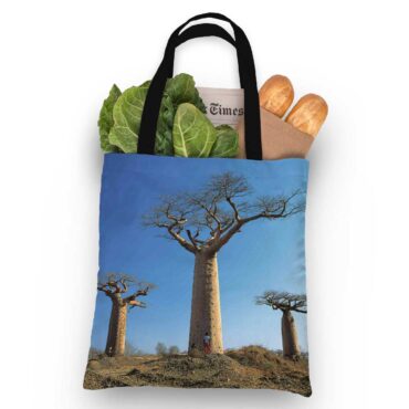 Pink Floyd Tote Bag - Delicate Sound of Thunder Back Cover 1988