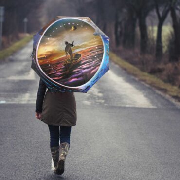 Pink Floyd Umbrella - The Endless River