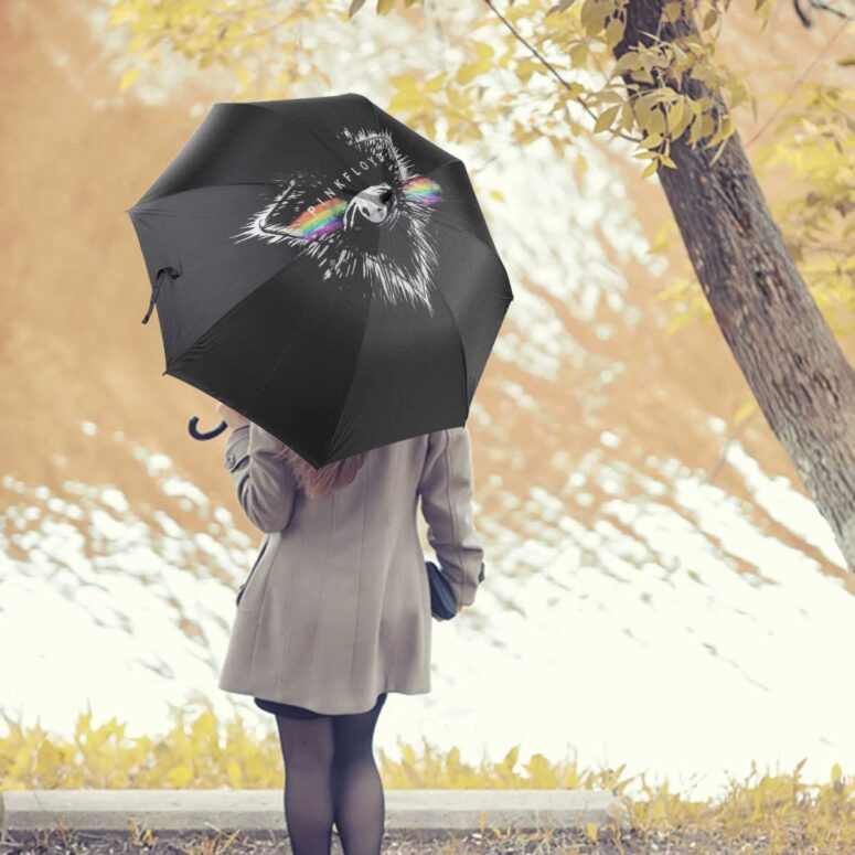 Pink Floyd Umbrella - Flare Eyes