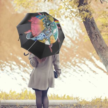 Pink Floyd Umbrella - Wish You Were Here Live At WemBley 1974