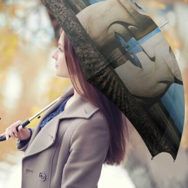 Pink Floyd Umbrella - Division Bell Stone Headsz
