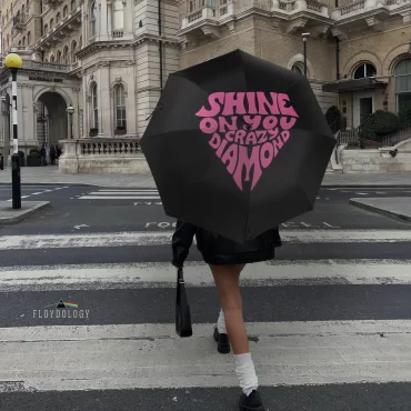Shine On You Crazy Diamond Typography Art - Pink Floyd Umbrella