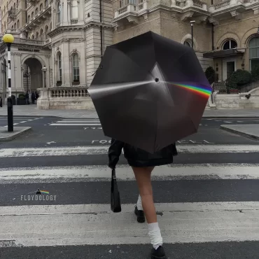 The Dark Side of The Moon Digital Painting - Pink Floyd Umbrella