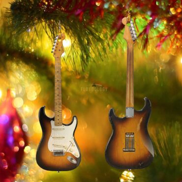 Pink Floyd Ornament - Fender Stratocaster David Gilmour Electric Guitar