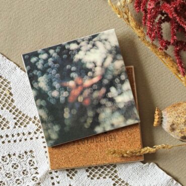 Obscured by Clouds Absorbing Stone Pink Floyd Coasters