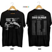 Luck And Strange David Gilmour Tour 2024 Shirt - OtherBrick