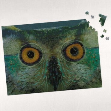 Owl Eyes Pulse Art Puzzle